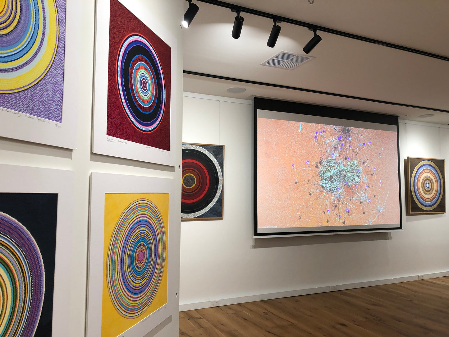 Concentric Unity: Jintaka- juku - NAIDOC Exhibition Opening Night