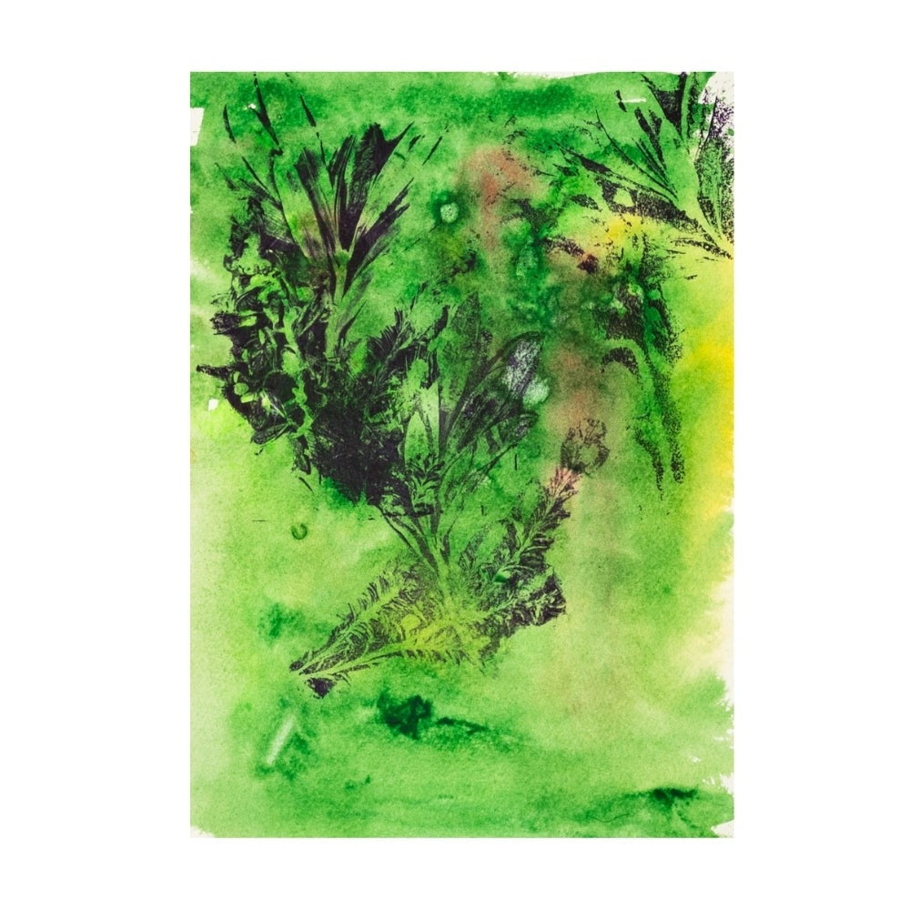 Ronnie Napiza - Native Plants -  Gelli plate print with acrylic