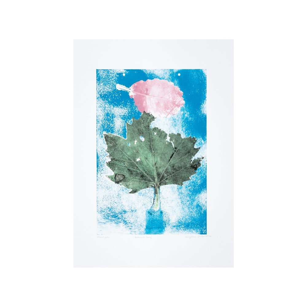 Jacqueline Shafar- Botanical Series - Monotype