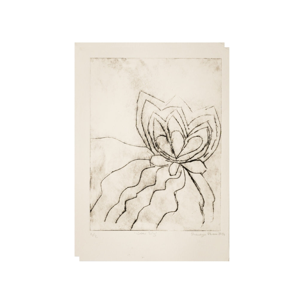 Shanaya Perera - Water Lily - Drypoint etching