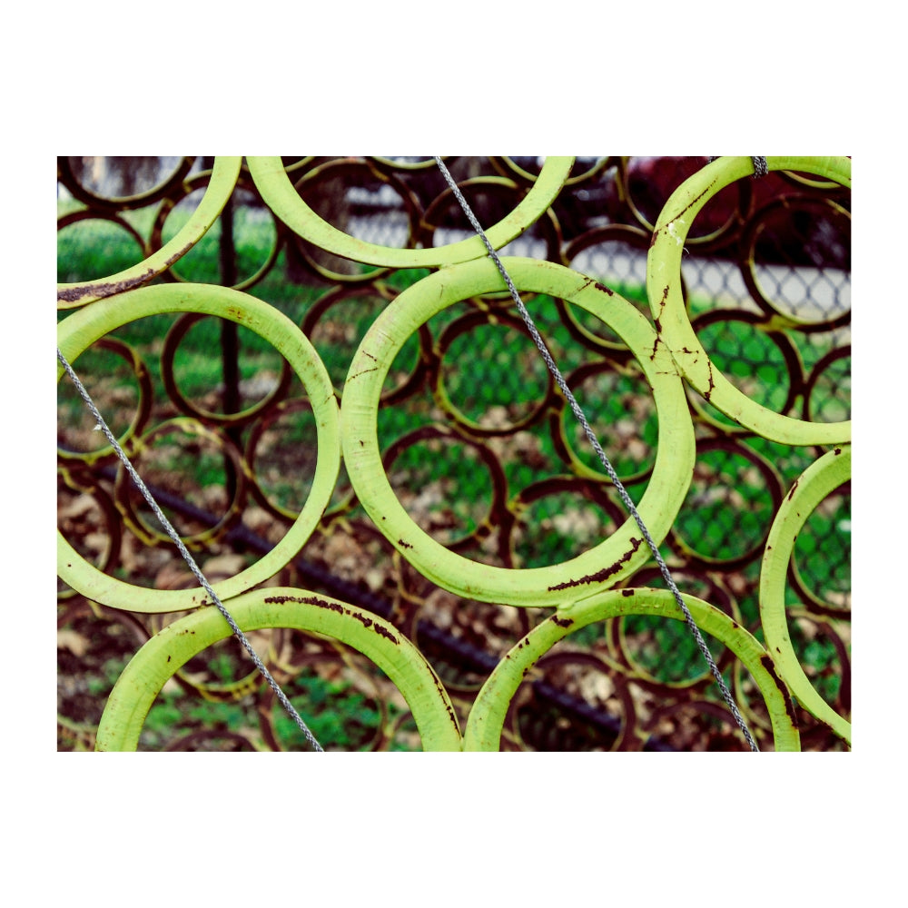 Circles in the Park - Alex Purcell - Focus Exhibition